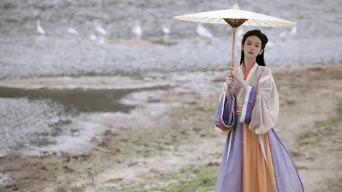 司机未观察撞伤路人